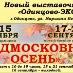 2Подмосковная-осень-2014-12